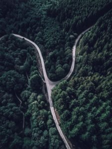 Tree Covered Mountain with Forked Road